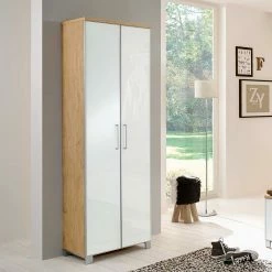 Dielenkleiderschrank Wynoca In Weiß Glas Beschichtet